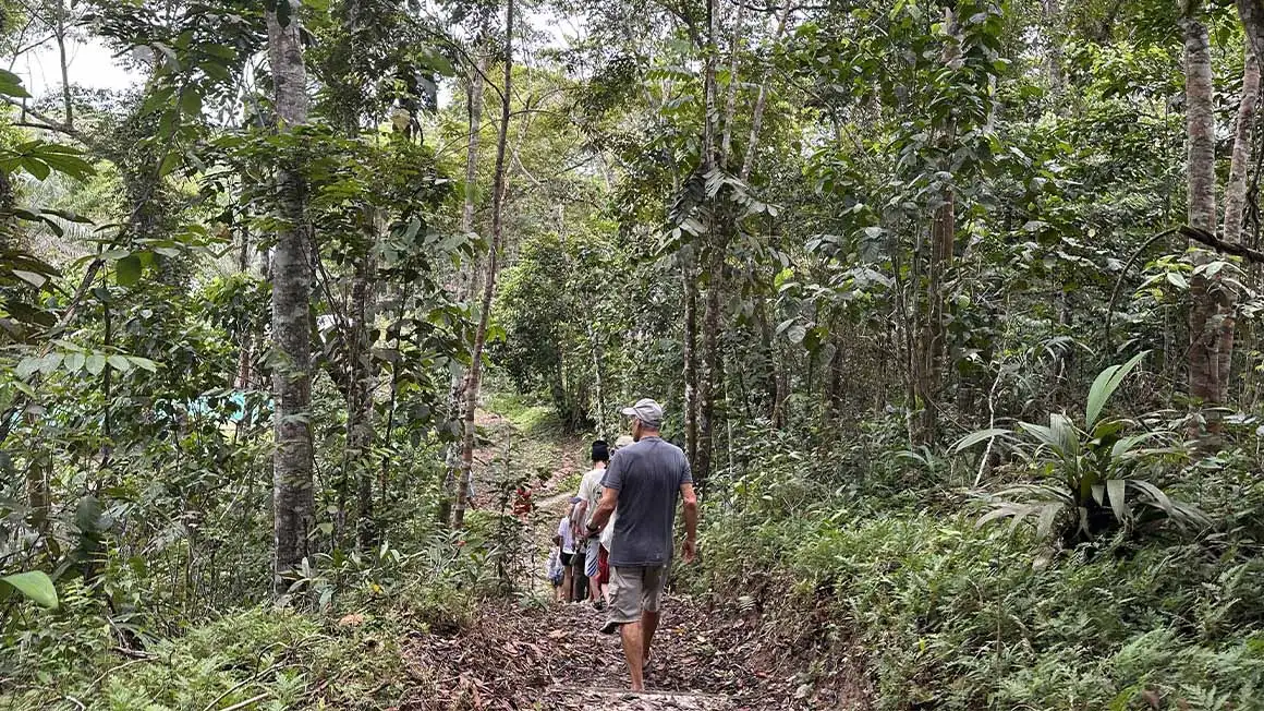 les gens marchent en ligne à travers la jungle sur un chemin