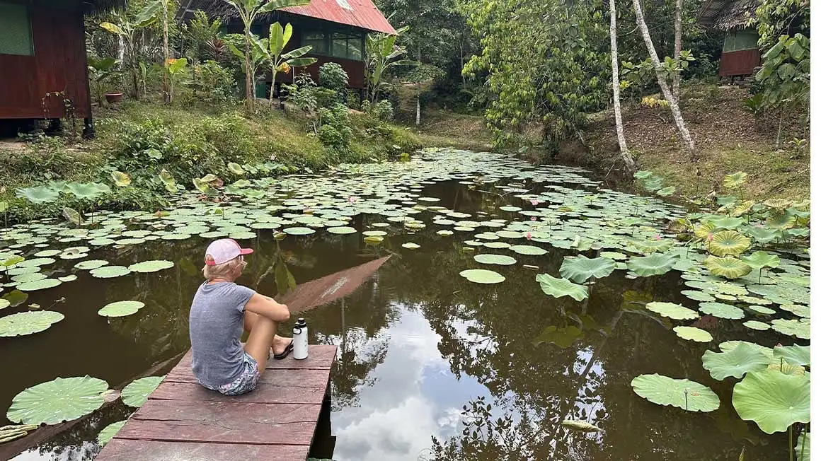 une personne était assise sur une petite jetée près d'un étang couvert de plantes