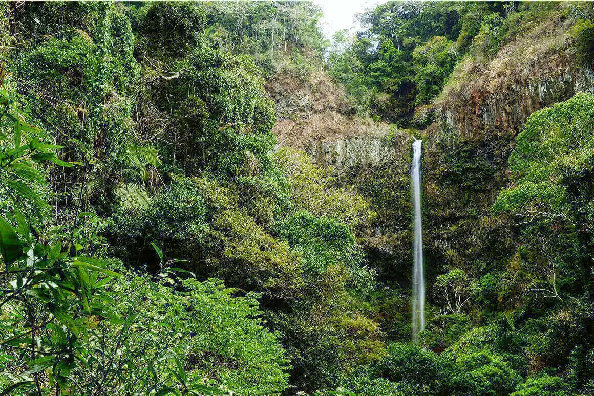 Explorador del nord de Madagascar