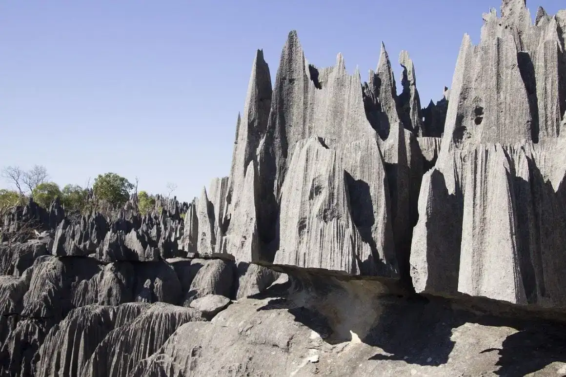 Madagascar en profunditat