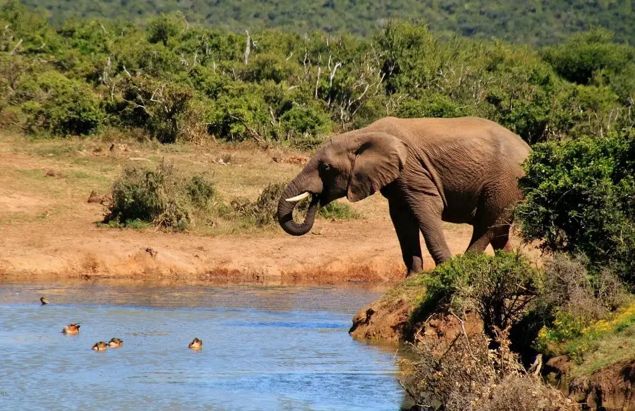 Laatste gedachten over de veiligheid van Zuid-Afrika