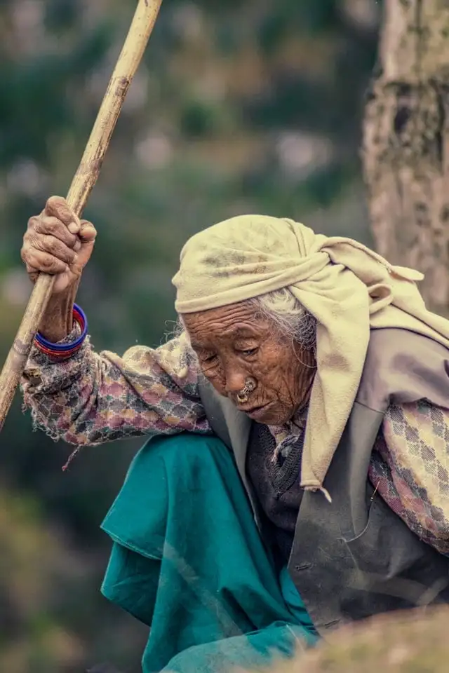 Mulher idosa nepalesa no Nepal rural cuidando do gado