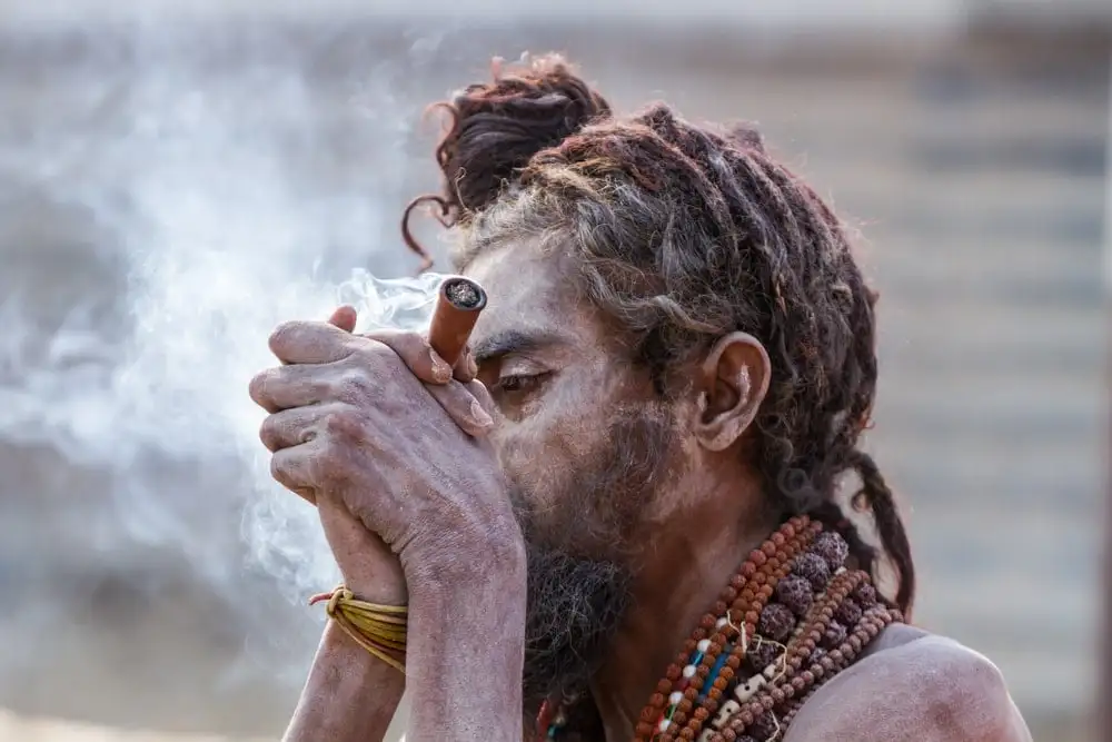 page de visa indien rose randonnée en Inde