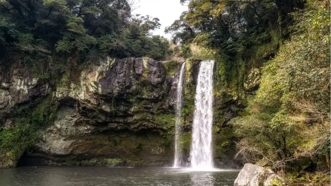 jusangjeolli Jeju