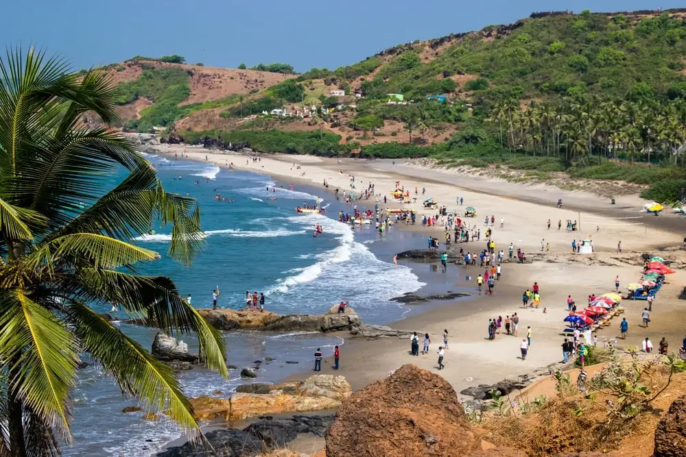 BaywoodGoa