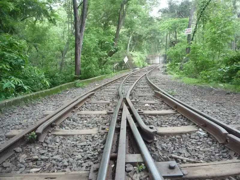 Parc national Sanjay Gandhi