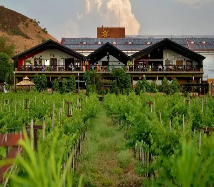Dégustation de vins à Nashik