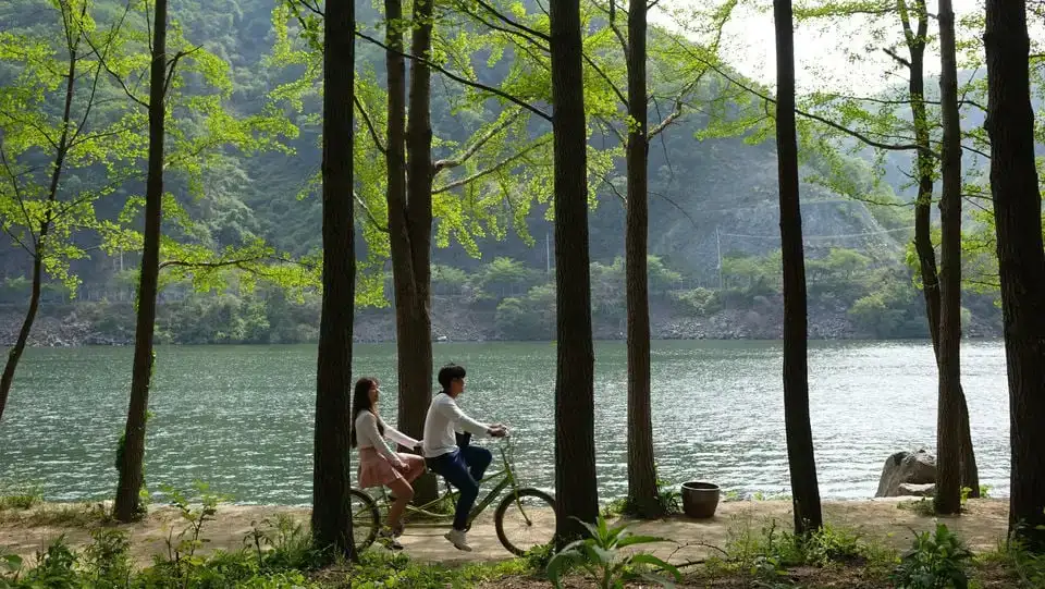 Île de Nami, jardin du matin calme et vélo sur rail de style coréen