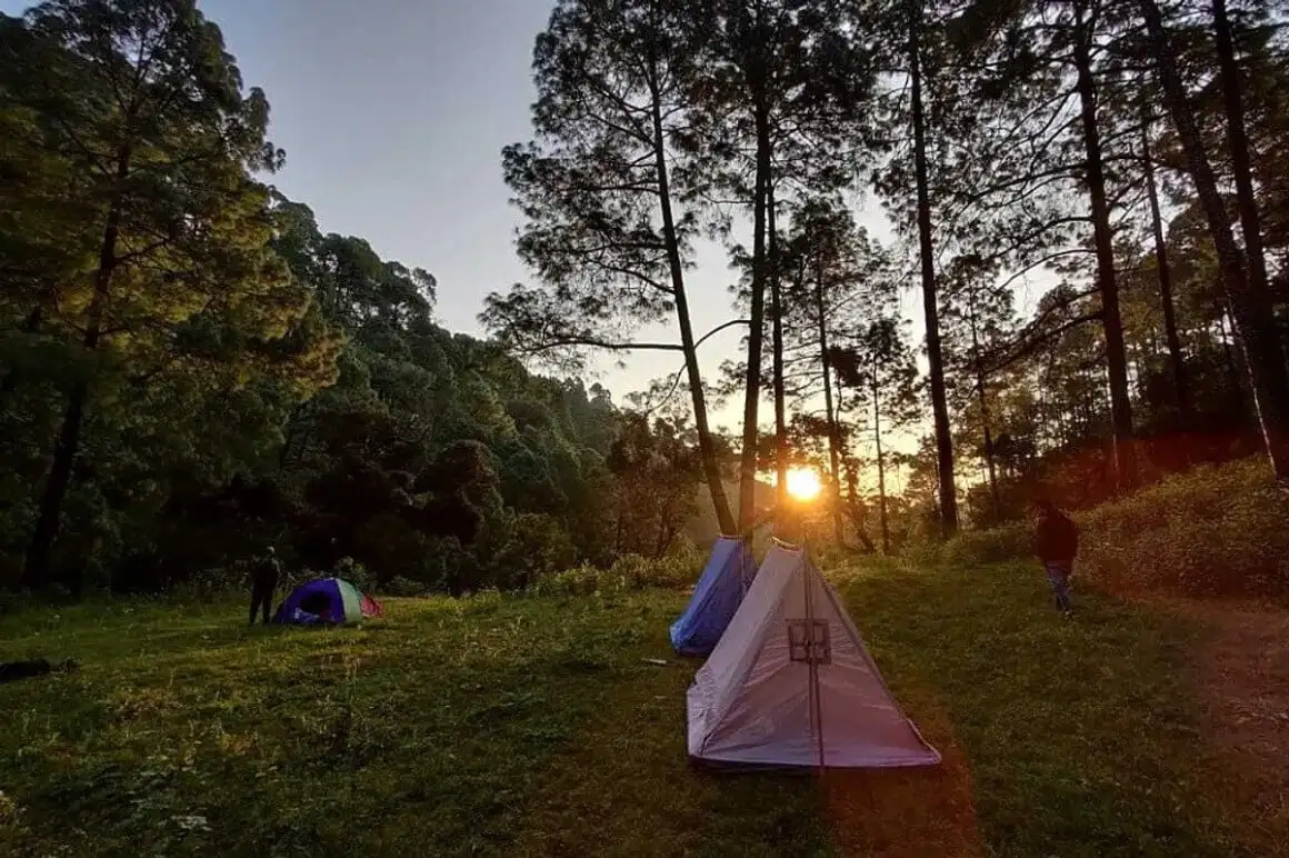 Tratamiento Panchkarma de 6 días