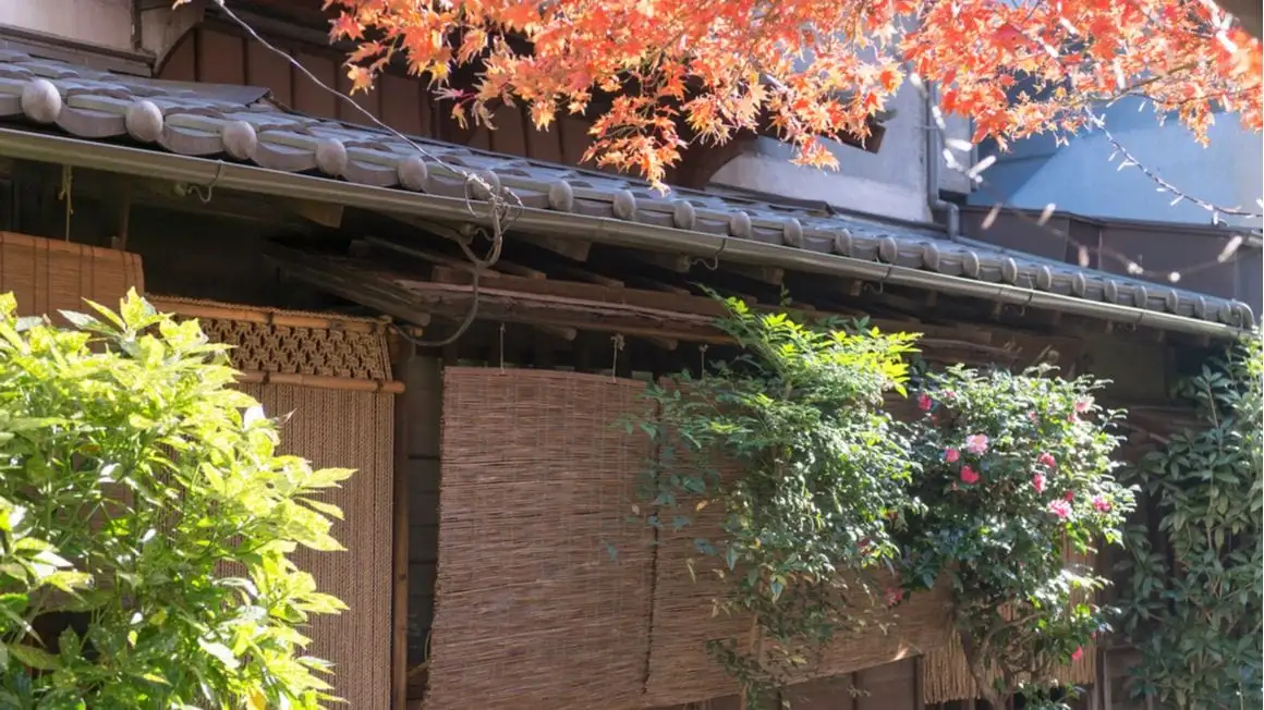 Shinjuku Gaisha Kagurazaka