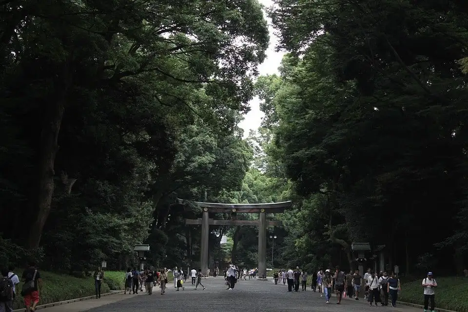 Origami Kaikam Tokyo