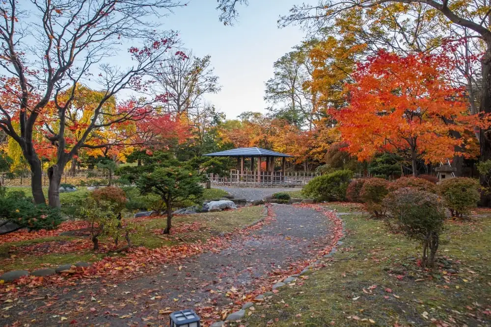 Parco Nakajima