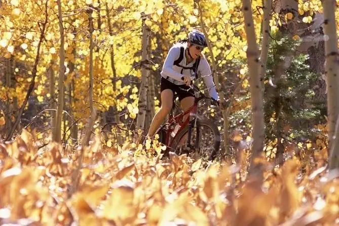 Tour in mountain bike del lago Shikotsu da Sapporo