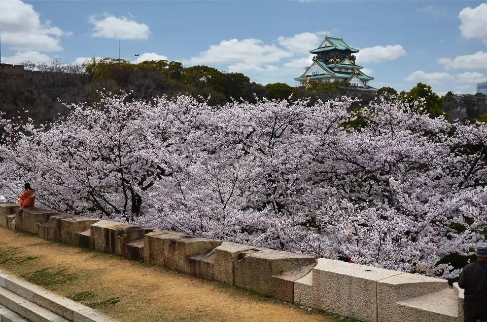 เกียวโต: ทัวร์ชมสถานที่ทางประวัติศาสตร์และ UNESCO เต็มวัน