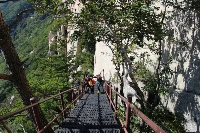 Une rizière dans un village folklorique traditionnel en Corée du Sud