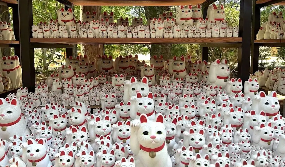 행운을 상징하는 고양이 조각상이 가득한 일본 도쿄의 사원.