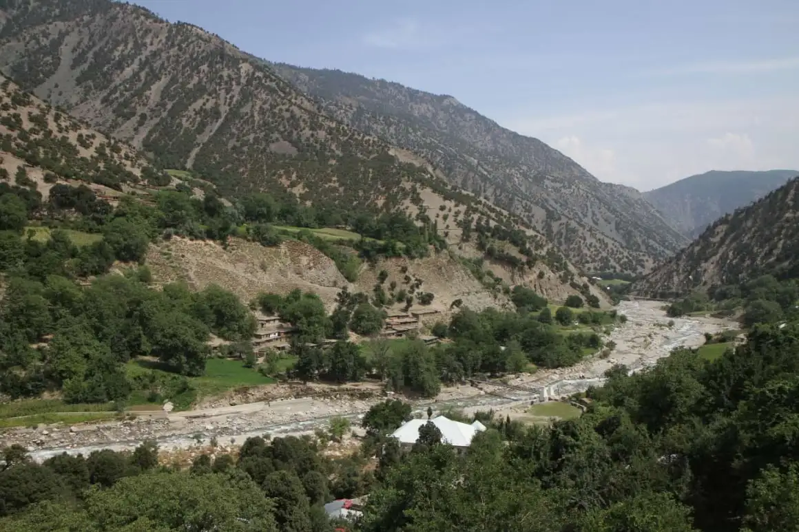 تمر الكاتدرائية