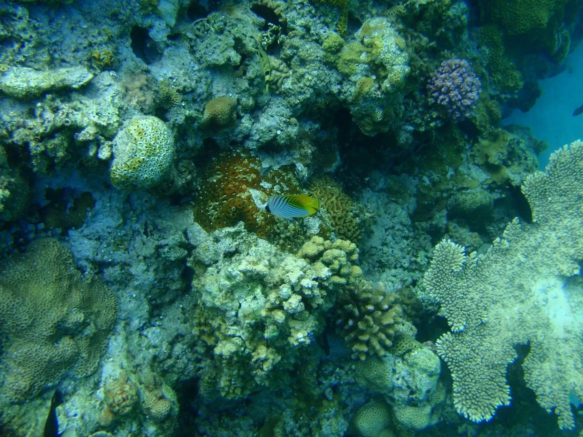 serviette de la mer au sommet