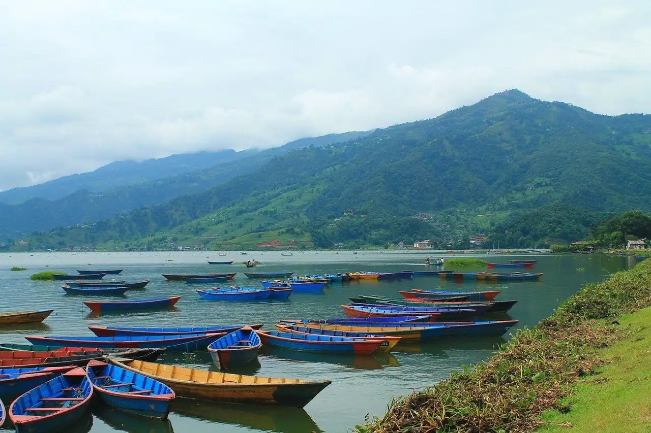 ইয়ারপ্লাগ