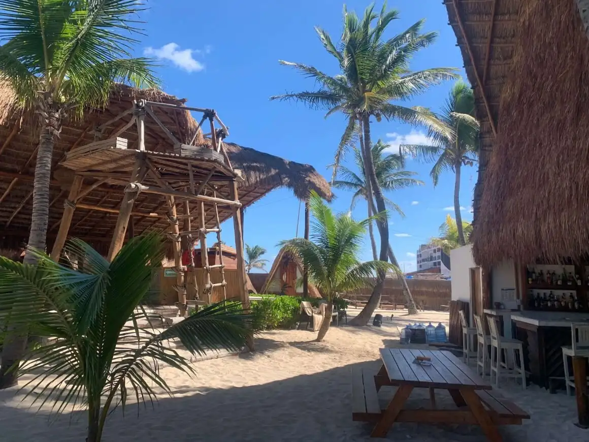Espace de plage partagé dans une auberge avec structures en bois et cabane dans les arbres