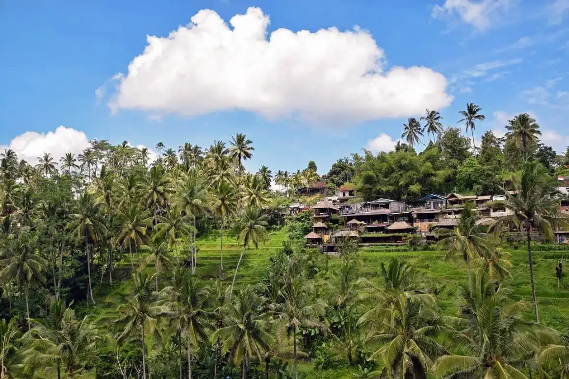 কার্টেজেনা কলম্বিয়া