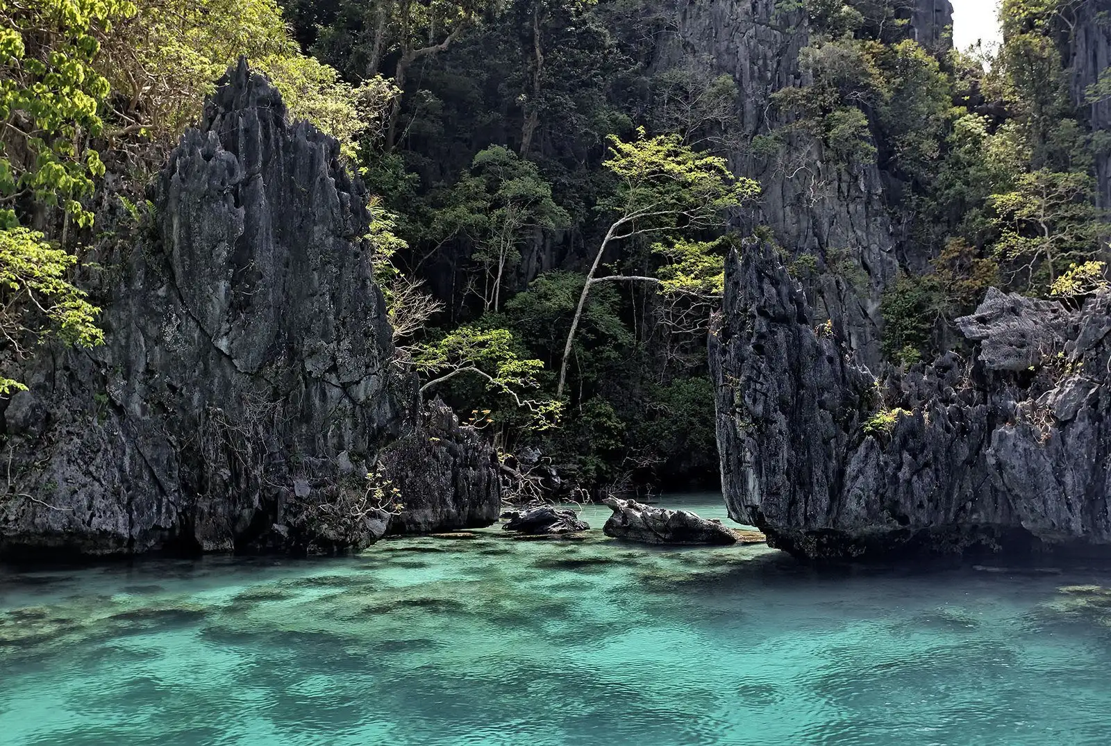 Un lagon tropical à Palawan, aux Philippines
