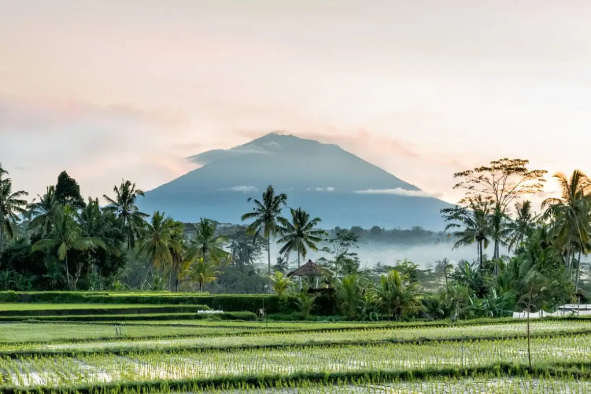 Mount Agung stiger over rismarkene ved soloppgang