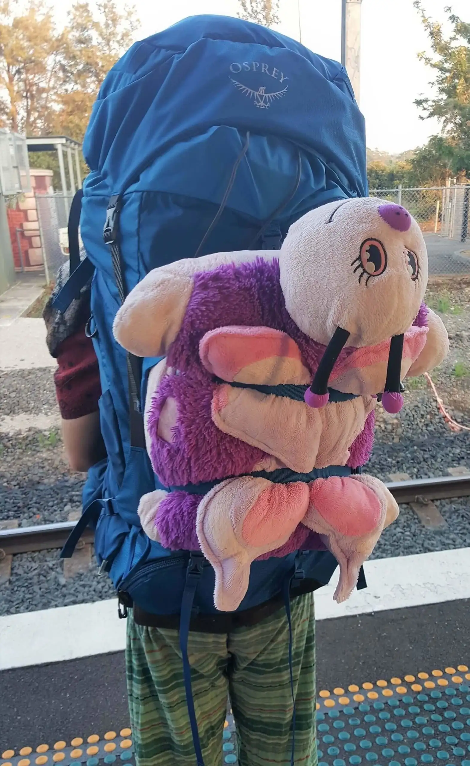 Dois homens exibem suas barrigas de cerveja enquanto viajam gays juntos.