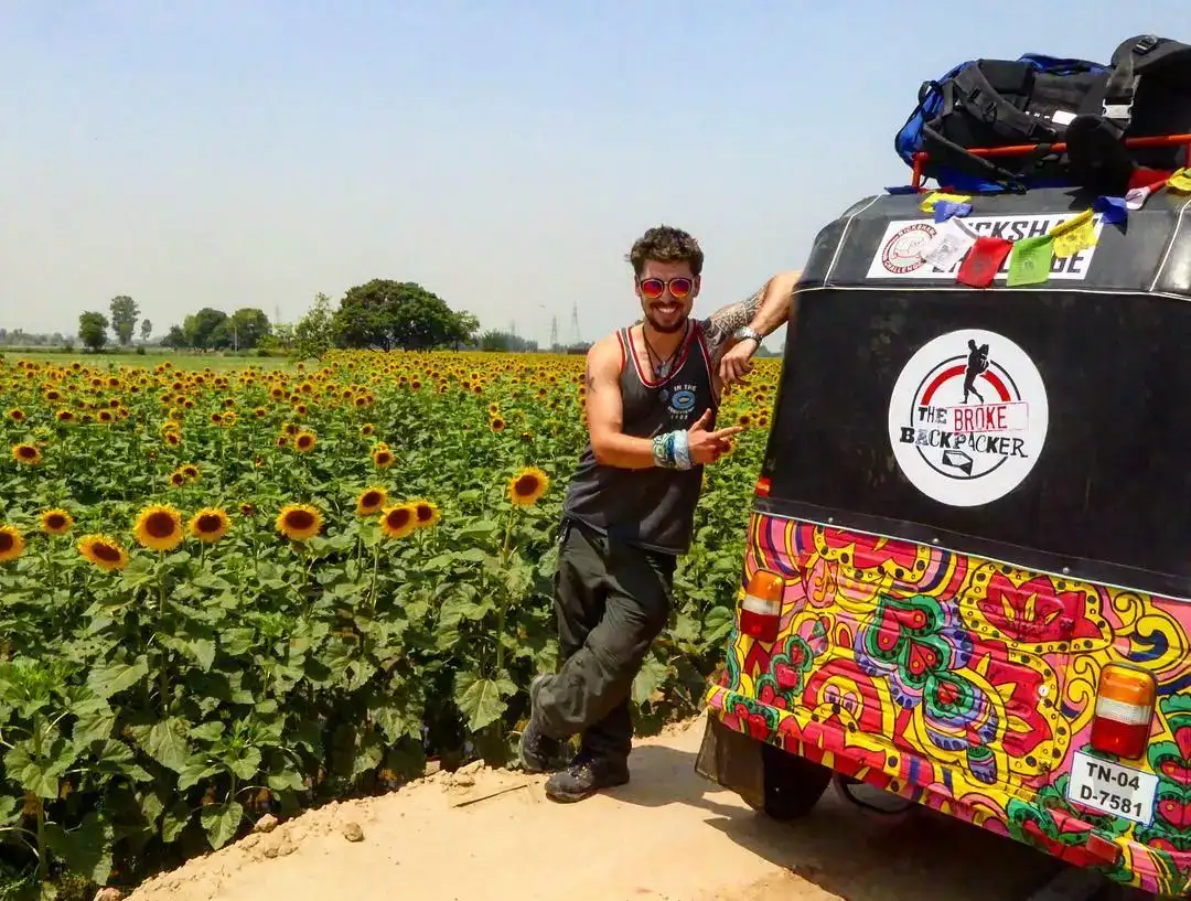 Homme avec son pousse-pousse devant un champ de tournesols