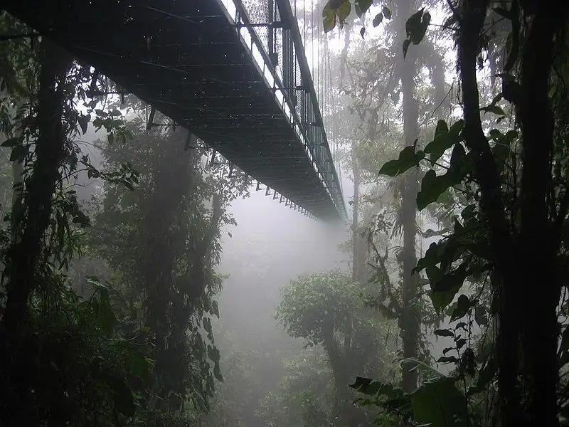 Pădurea de nori Monteverde