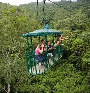 Tramvaiul Rainforest din San Jose