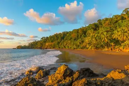 Planches de surf sur bbeach au Costa Rica Côte Caraïbe - Puerto Viejo.