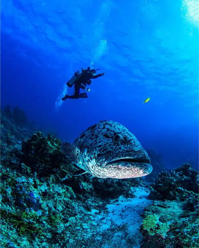 mergulho em Belize