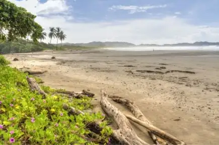 Plage de Guiones Costa Rica