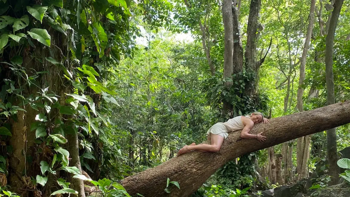สัตว์ป่าในอุทยานแห่งชาติ Corcovado