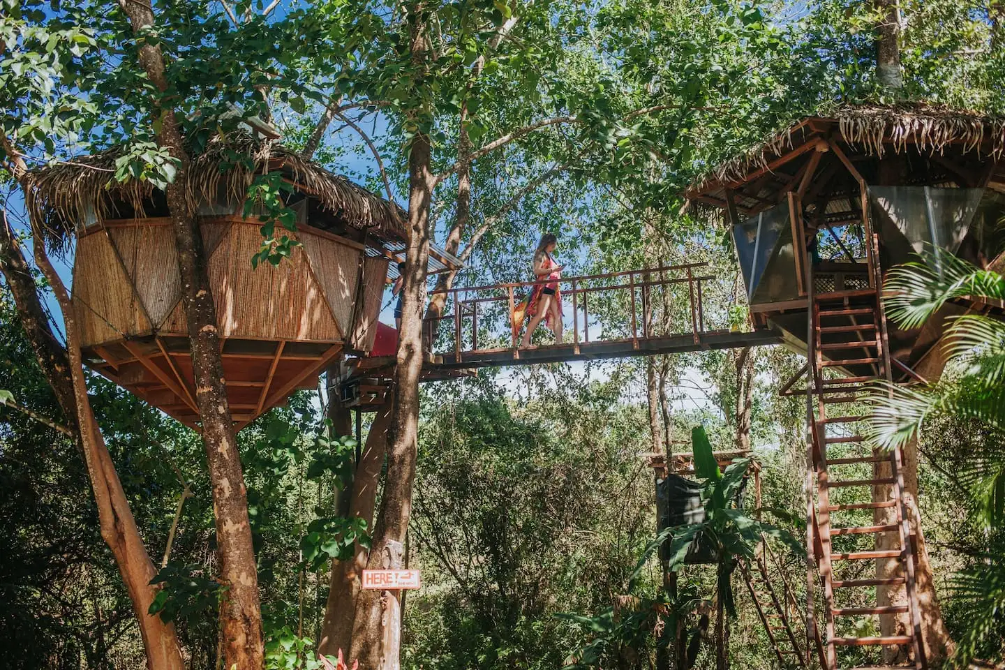 glamping hiška na drevesu Kostarika