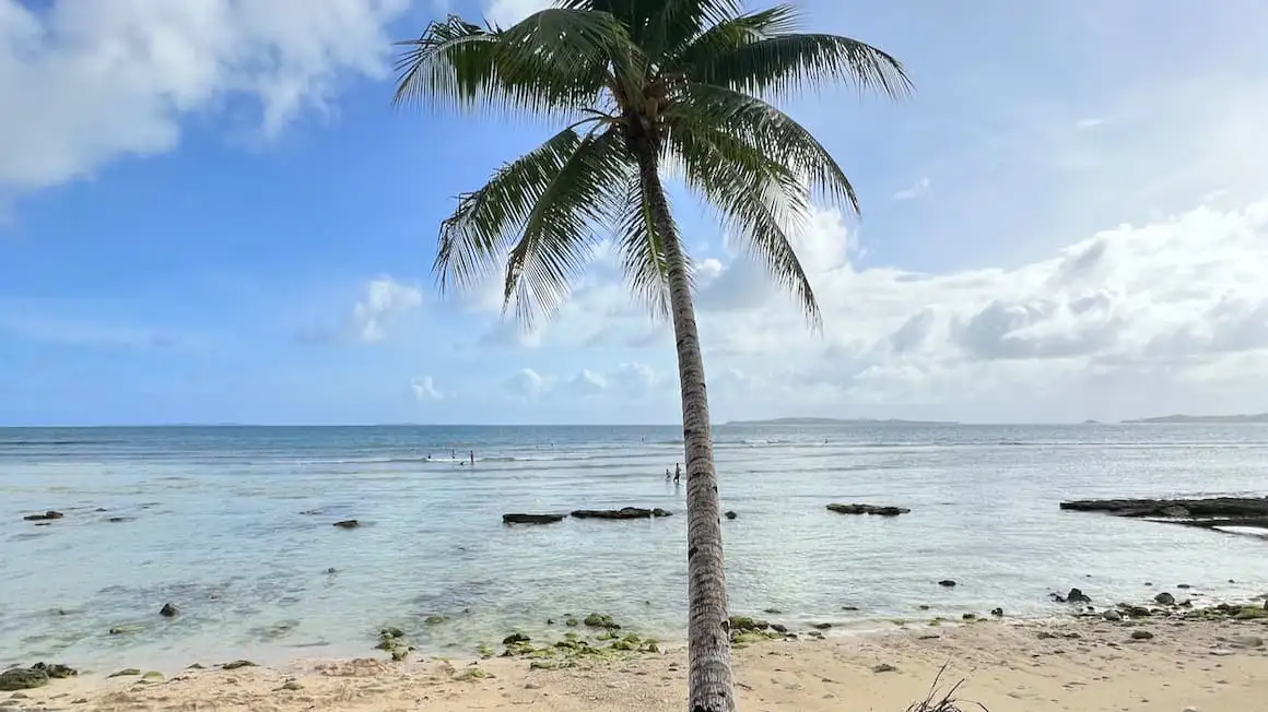 un palmier sur une plage de l'île de Siargao, Philippines