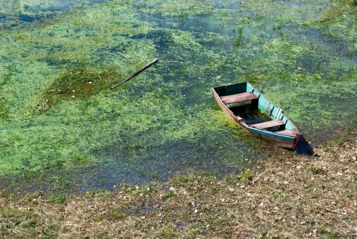mochilão em Honduras