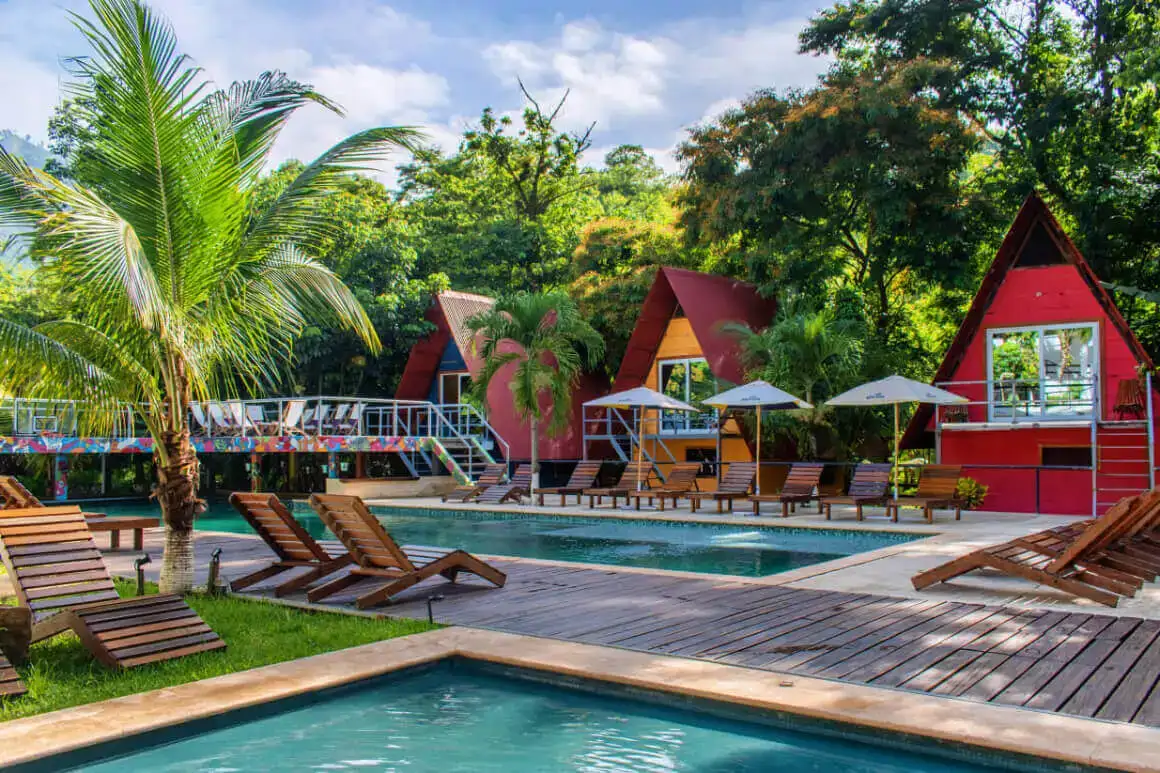 Greengos Hostel piscine