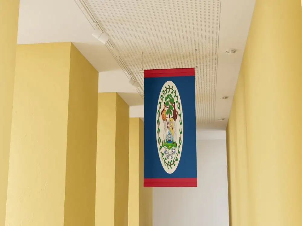 ক্যাপেলোস আর্ট গ্যালারি