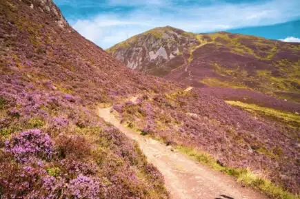 Invernessi katedraal Invernessi kesklinnas
