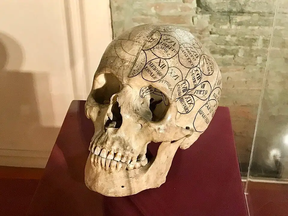 Museo de Anatomía Humana