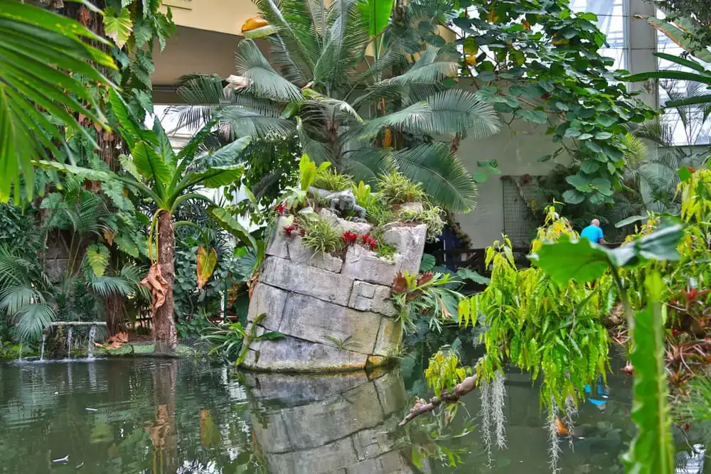 Park Phoenix