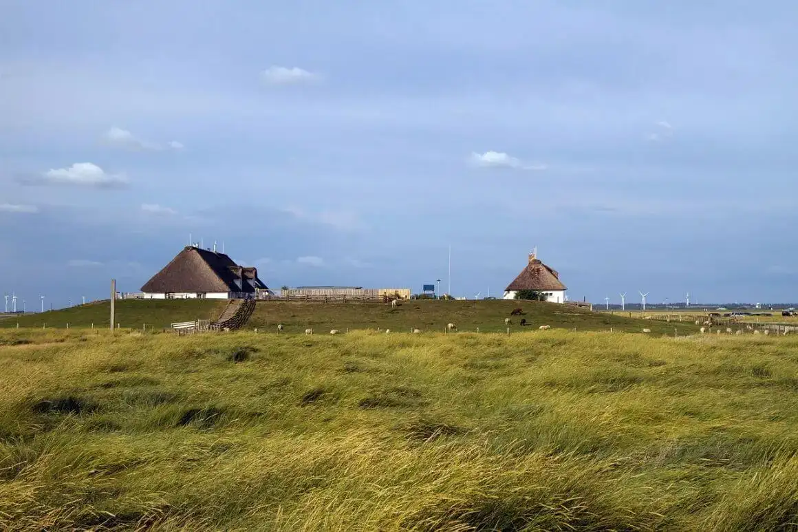 Hamburk Wadden Sea