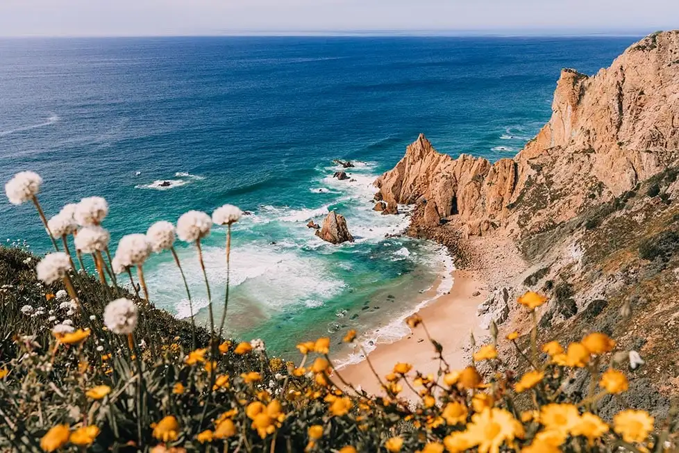 Pesque no mar em um mergulho