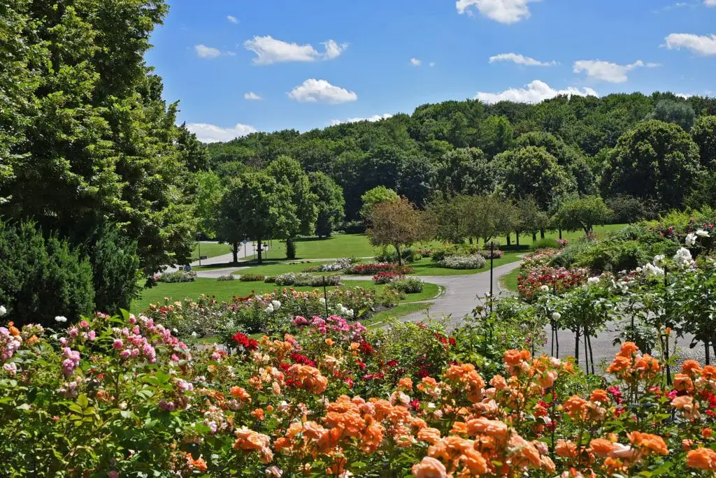 West Park