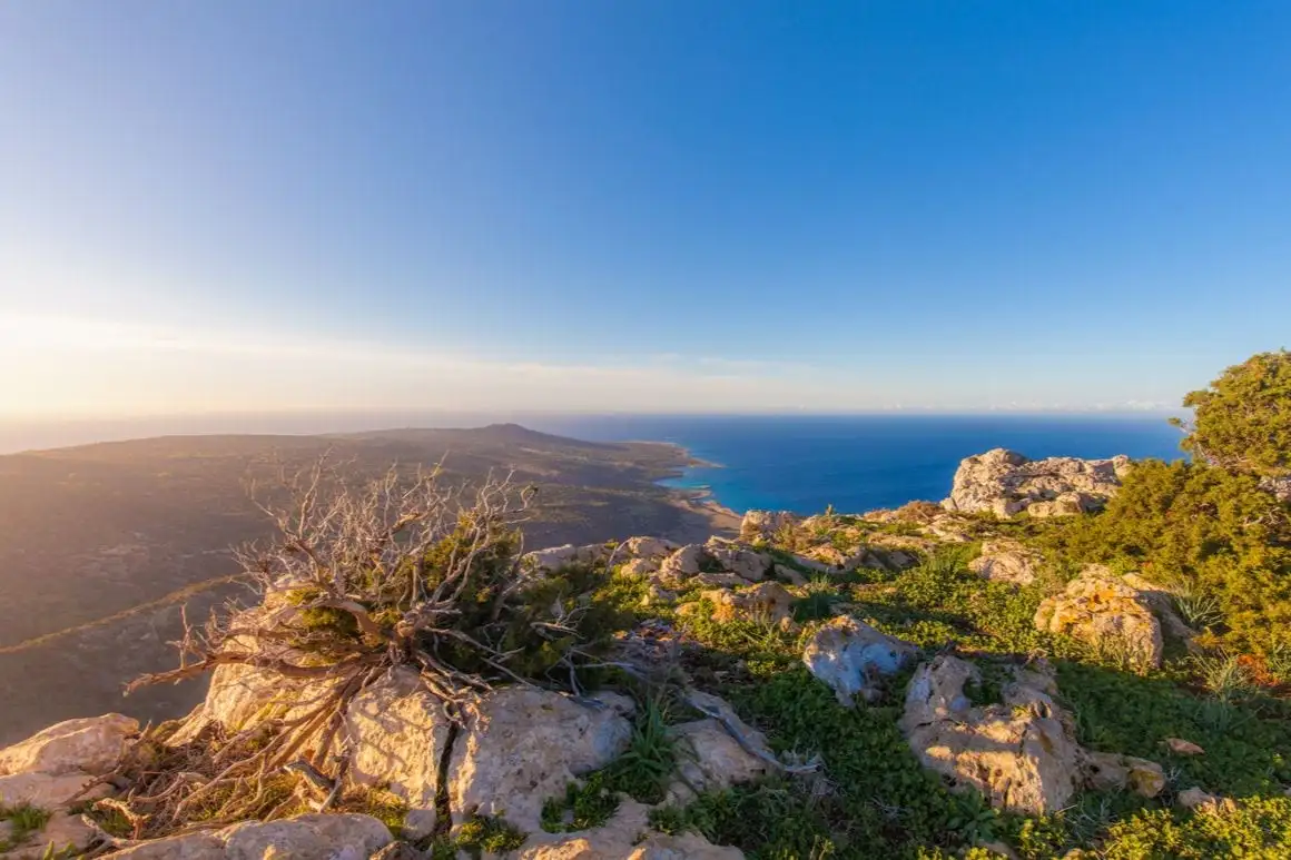 Aphrodite Loop Cipar