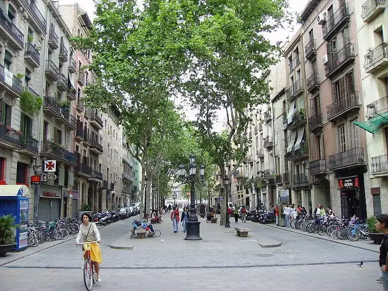 Cathédrale de la Seu à Barcelone