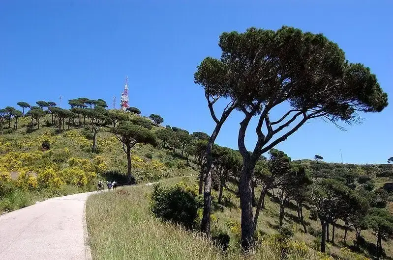 Parc de la Ciutadella