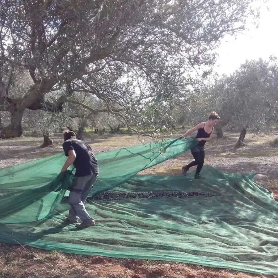 Organisation de protection des animaux à Kos, Grèce